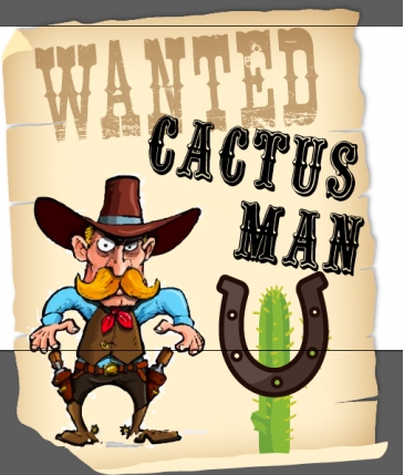 Cactus Man Triathlon by Hemanth Shival