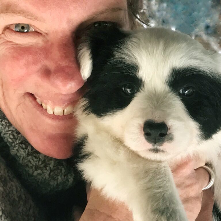 Clancy – The Best Running Buddy of Kim