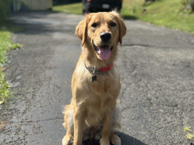 Winnie – The Best Running Buddy of Kirsten